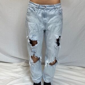 Wild Fable Distressed Light Wash